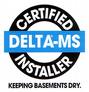 Delta-MS® Logo