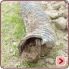 Industry Pictures - Failed Weeping Tile
