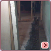 Internal De-Watering
