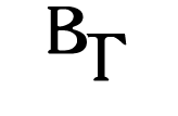 BT Logo White